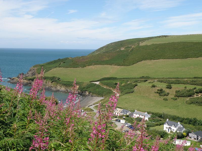 20100717a Schiereiland Dinas head links.JPG